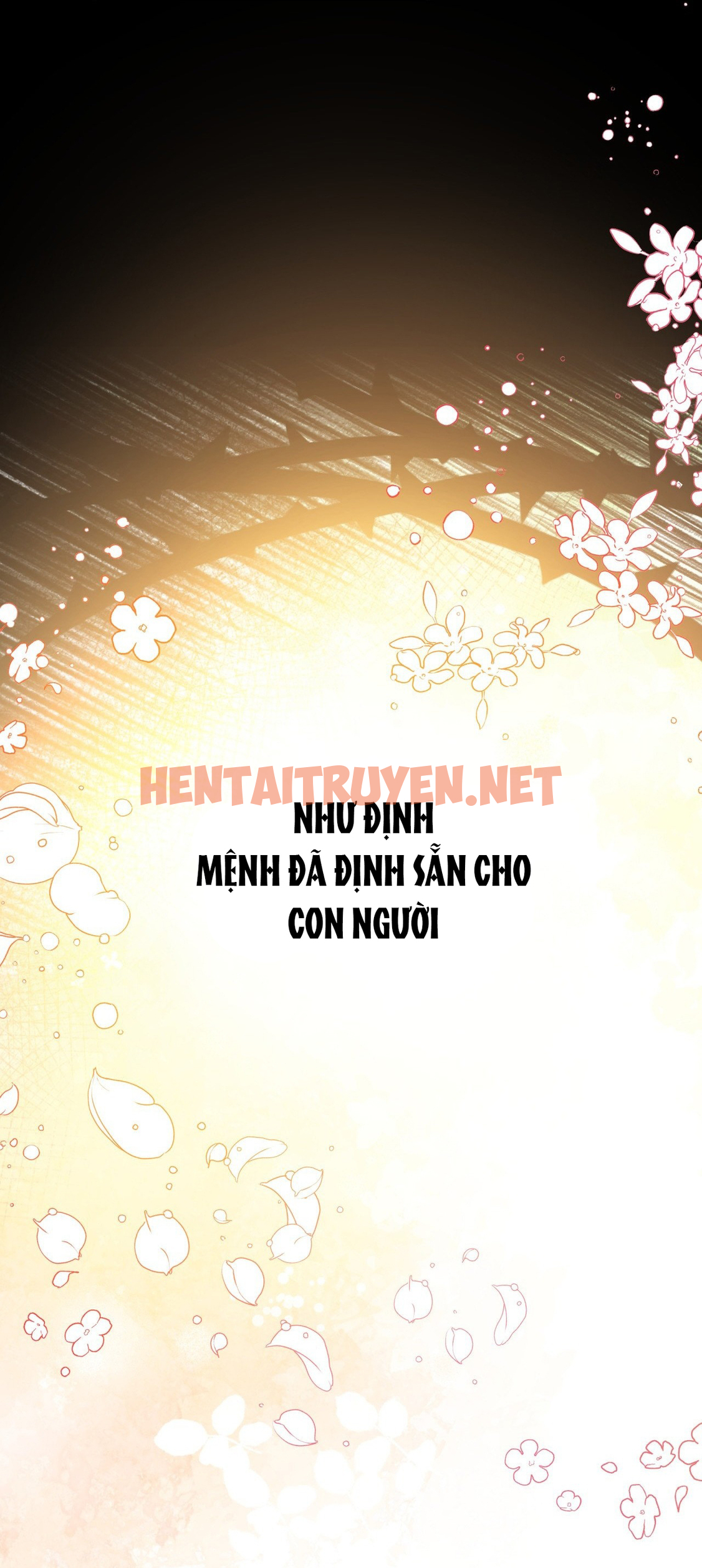 Xem ảnh [18+] Tôi Đã Kết Hôn Với Em Gái Của Vợ - Chap 3.1 - 3880d040 69c8 45cb b10e adda67bc6454 - HentaiTruyen.net