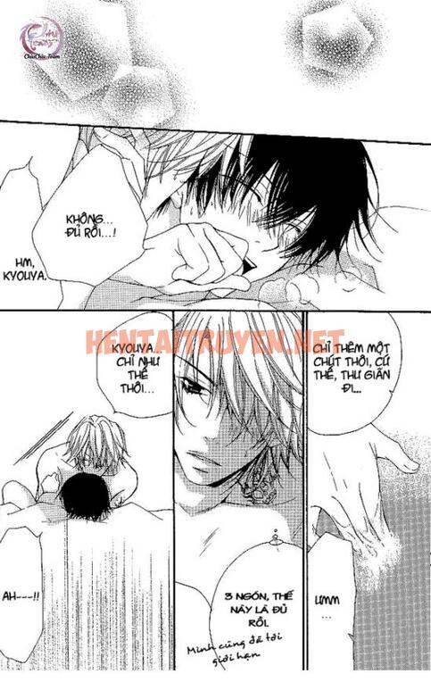 Xem ảnh [Doujinshi Khr] D18 Rigenerare (Allodola Xxx) - Chap 2 - img_011_1671278669 - HentaiTruyen.net