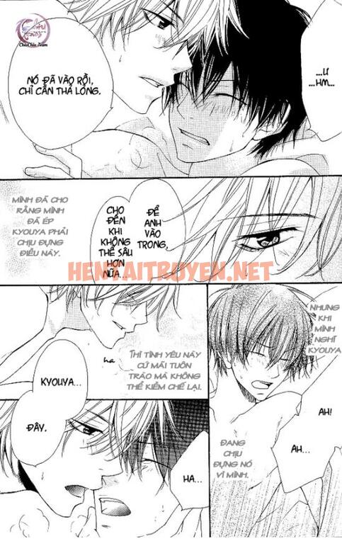 Xem ảnh [Doujinshi Khr] D18 Rigenerare (Allodola Xxx) - Chap 2 - img_012_1671278671 - HentaiTruyen.net