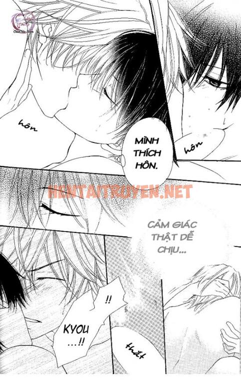 Xem ảnh [Doujinshi Khr] D18 Rigenerare (Allodola Xxx) - Chap 2 - img_013_1671278673 - HentaiTruyen.net