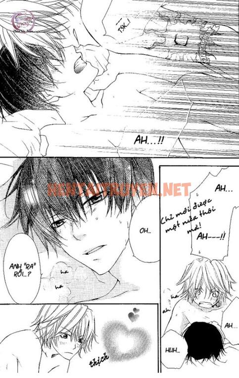 Xem ảnh [Doujinshi Khr] D18 Rigenerare (Allodola Xxx) - Chap 2 - img_014_1671278675 - HentaiTruyen.net