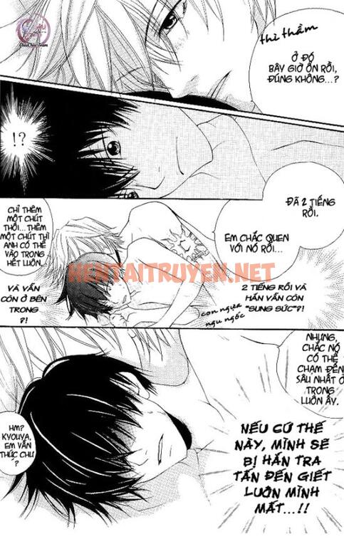 Xem ảnh [Doujinshi Khr] D18 Rigenerare (Allodola Xxx) - Chap 2 - img_017_1671278681 - HentaiTruyen.net