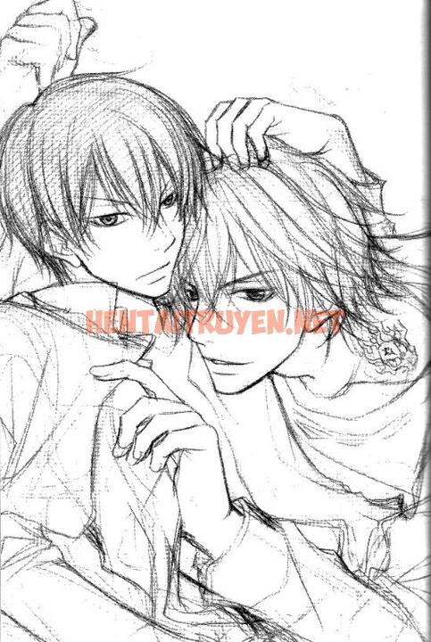 Xem ảnh [Doujinshi Khr] D18 Rigenerare (Allodola Xxx) - Chap 2 - img_018_1671278683 - HentaiTruyen.net