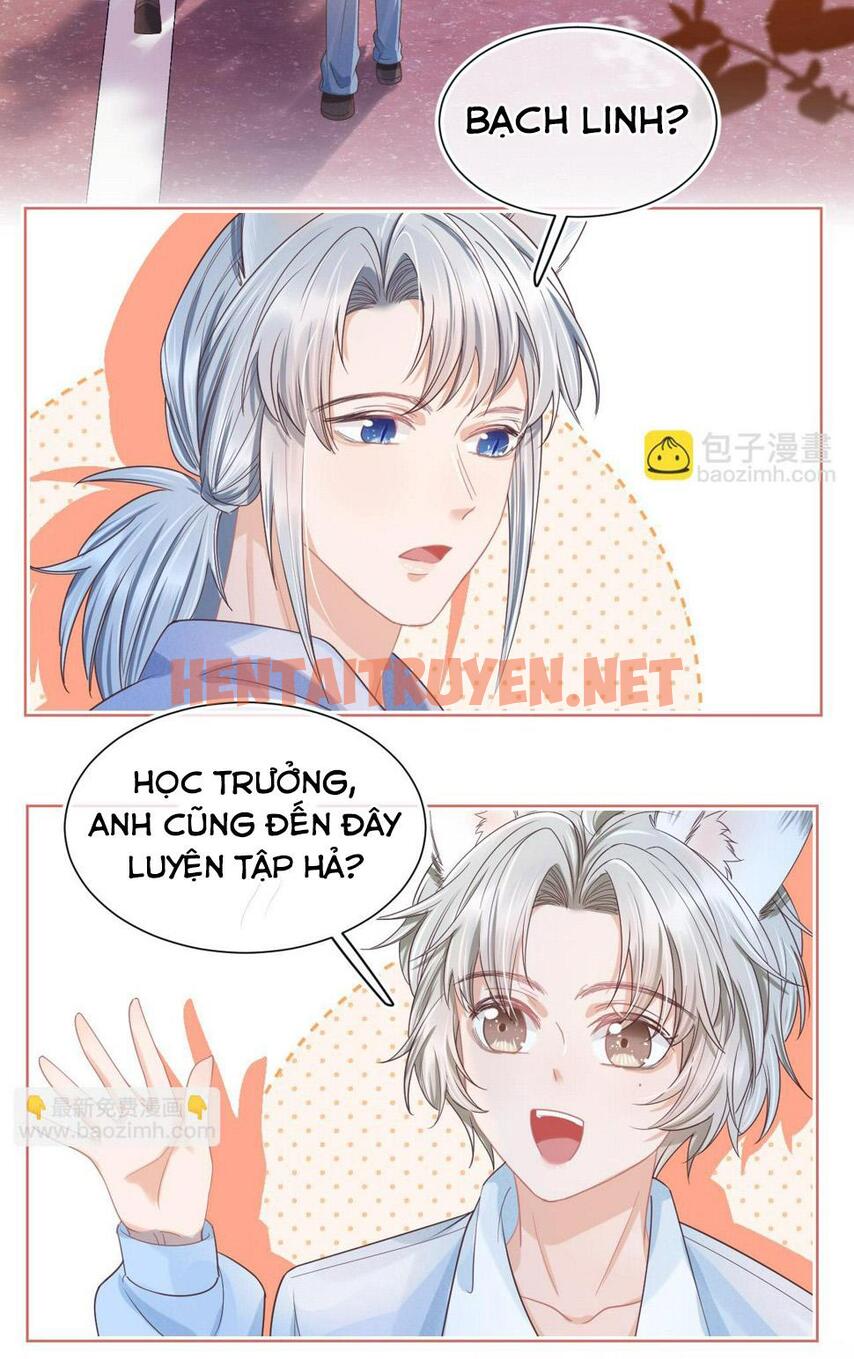 Xem ảnh [Ss2] Một Ngụm Ăn Cả Thỏ Con - Chap 20 - img_041_1684153267 - TruyenVN.APP