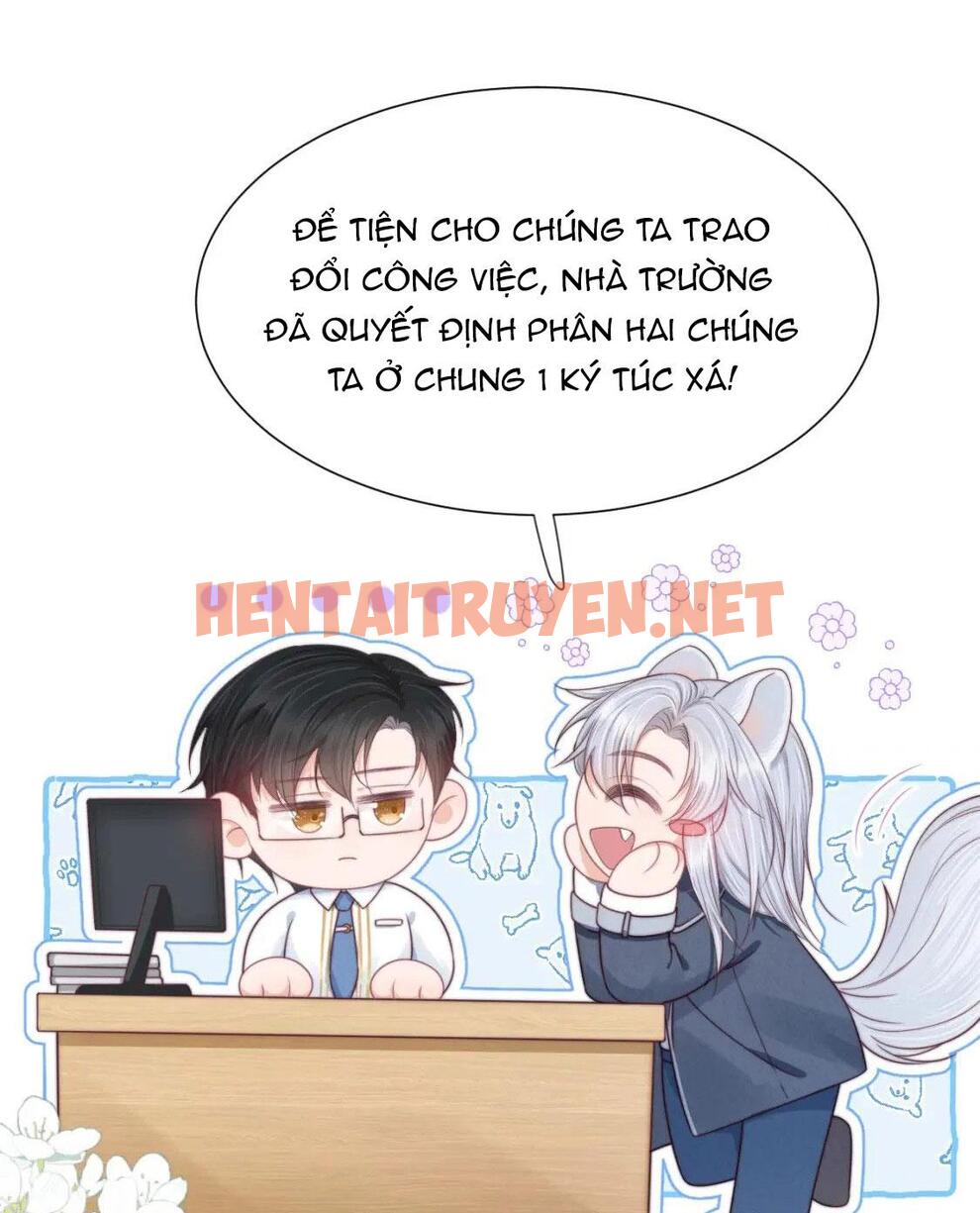 Xem ảnh [Ss2] Một Ngụm Ăn Cả Thỏ Con - Chap 36 - img_005_1693918754 - TruyenVN.APP