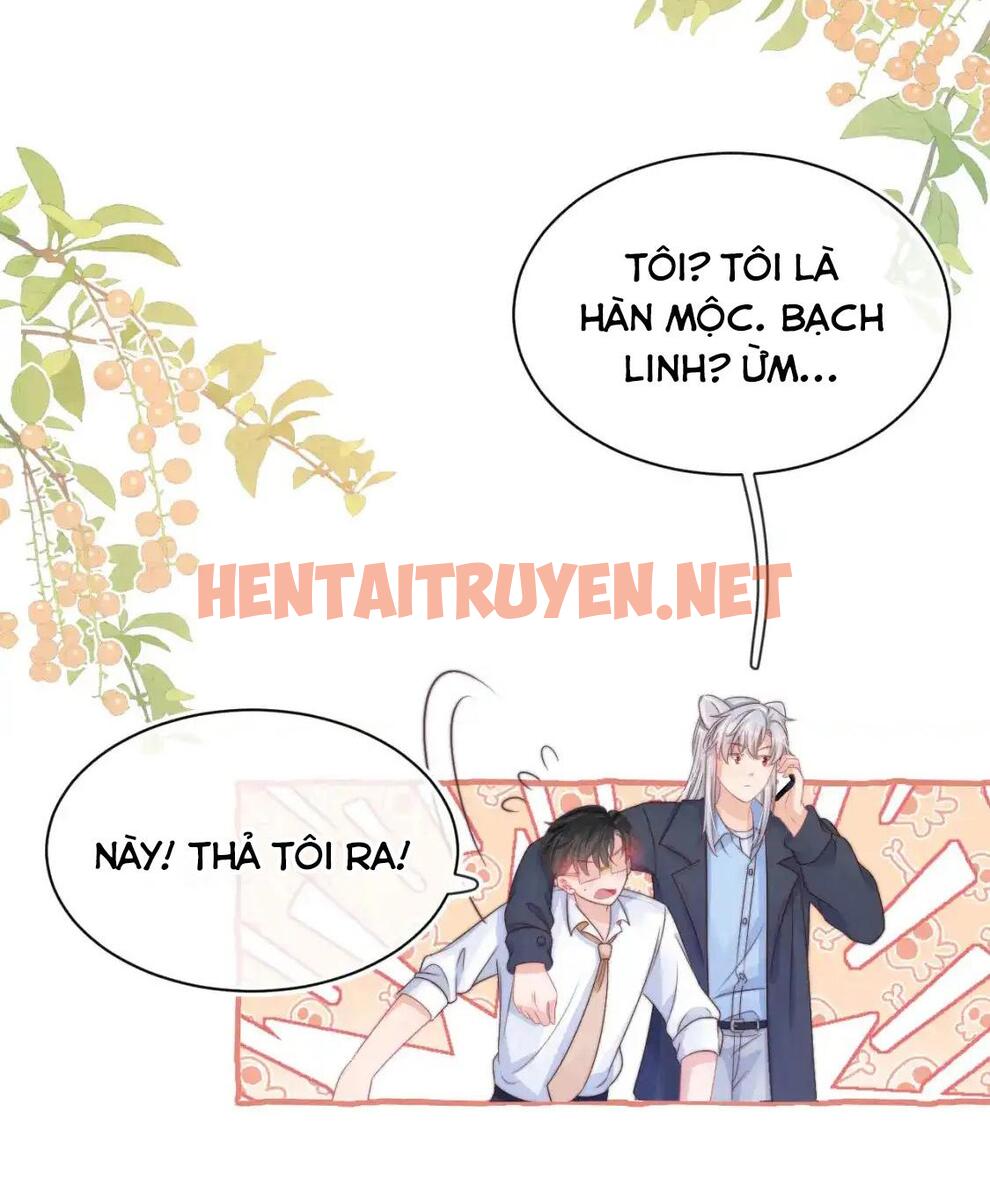 Xem ảnh [Ss2] Một Ngụm Ăn Cả Thỏ Con - Chap 42 - img_030_1701926246 - TruyenVN.APP