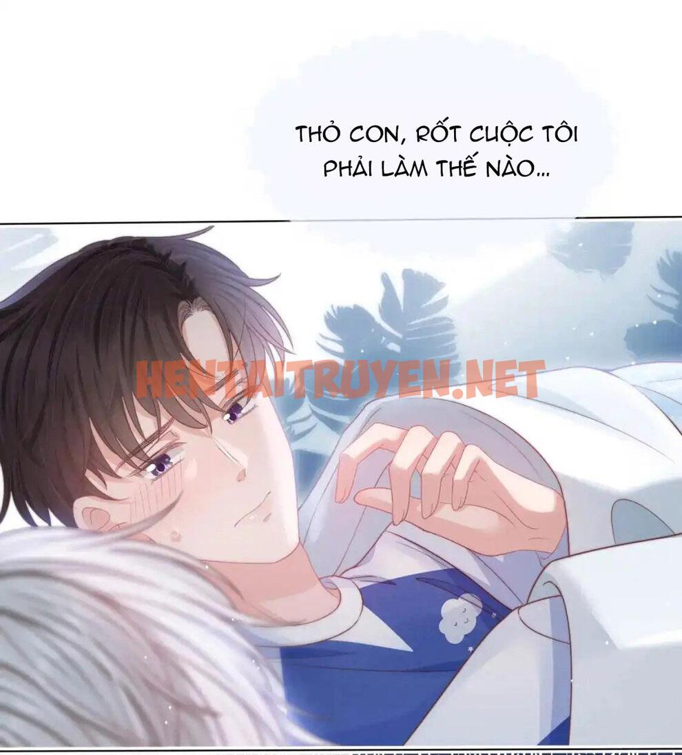 Xem ảnh [Ss2] Một Ngụm Ăn Cả Thỏ Con - Chap 43 - img_035_1702995129 - TruyenVN.APP