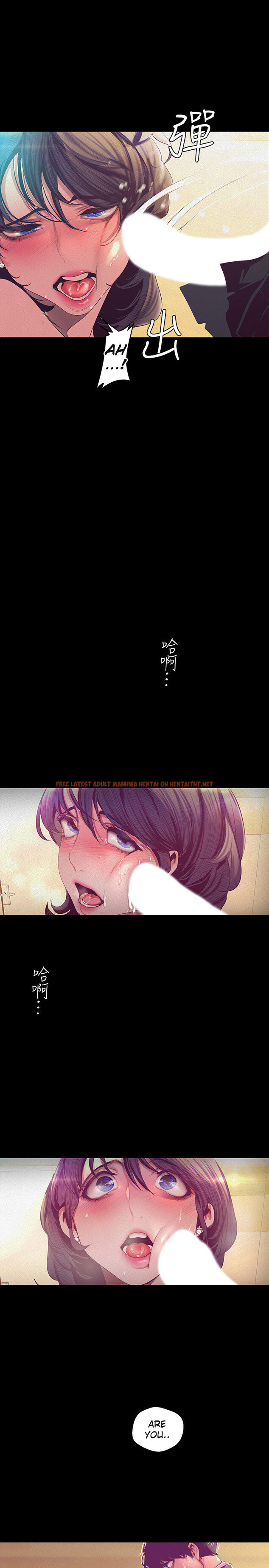 Read Hentai Image 18 091 in comic A Wonderful New World - Chapter 104 - hentaitnt.net