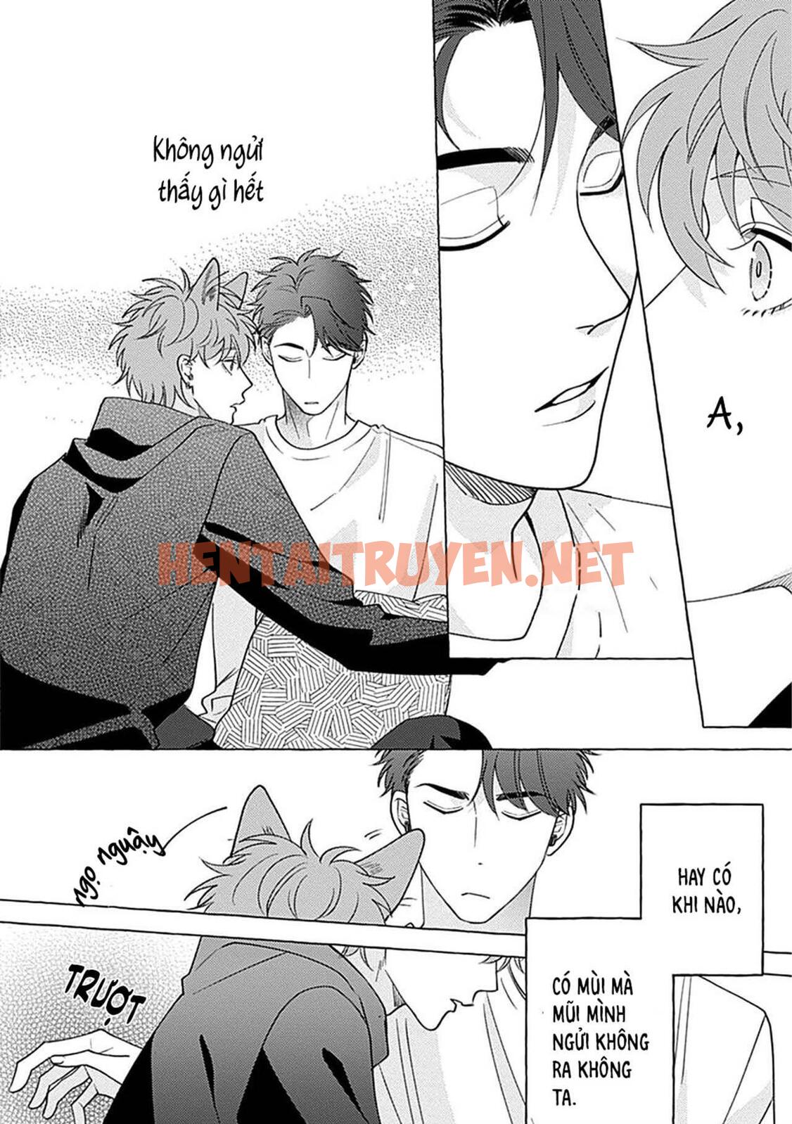 Xem ảnh Aimai Na Wolf - Chap 2 - img_036_1668140354 - TruyenVN.APP