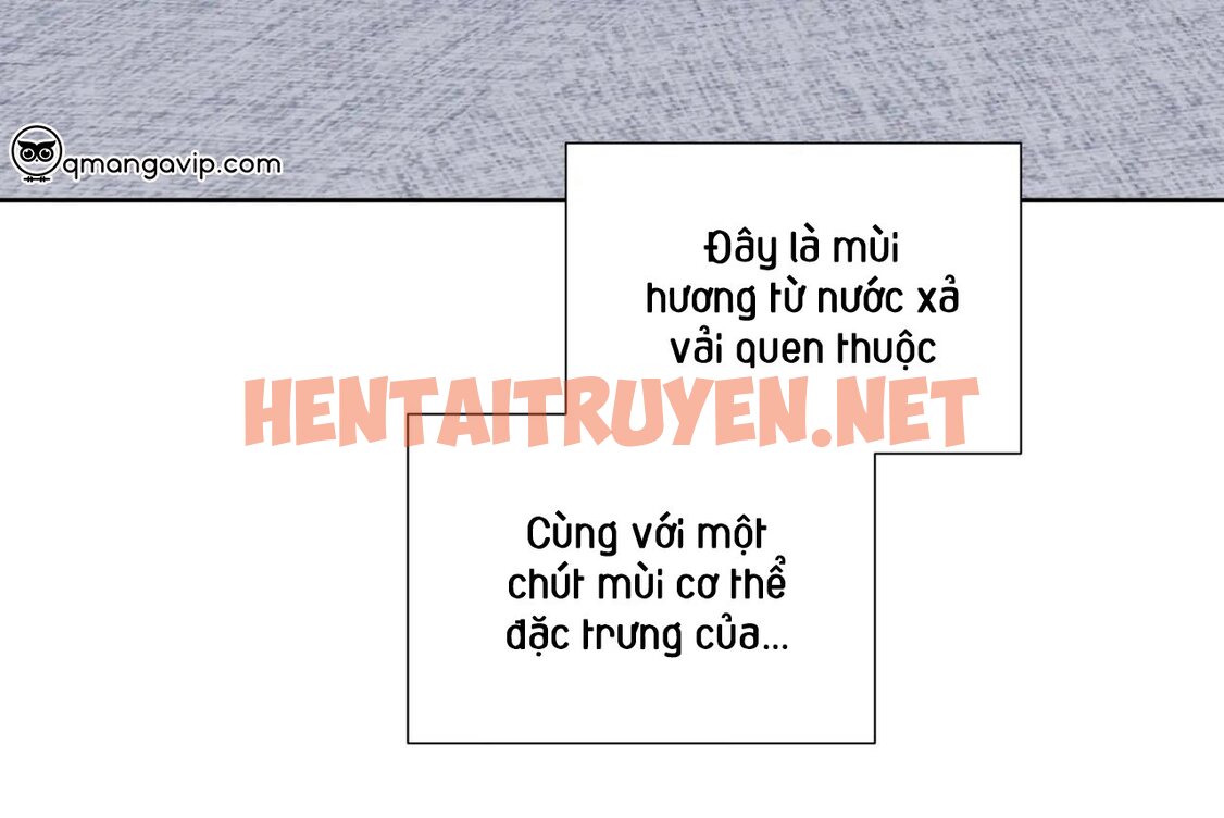 Xem ảnh Ám Ảnh Pheromone - Chap 60 - img_042_1685676211 - HentaiTruyenVN.net