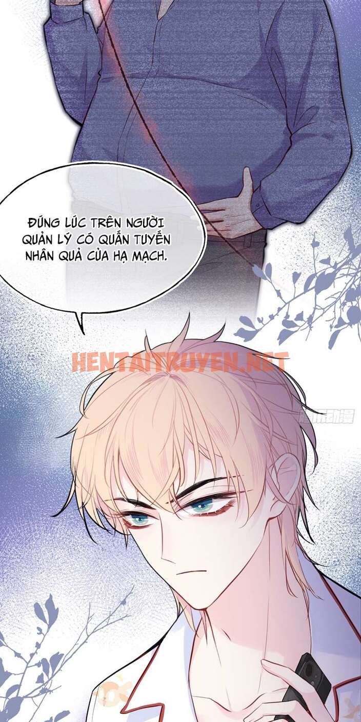 Xem ảnh Anh Ấy Chưa Từng Rơi Xuống - Chap 16 - img_040_1685189584 - HentaiTruyen.net