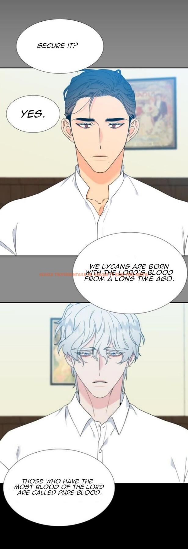 Read Hentai Image 10 177 in comic Blood Link - Chapter 129 - hentaitnt.net