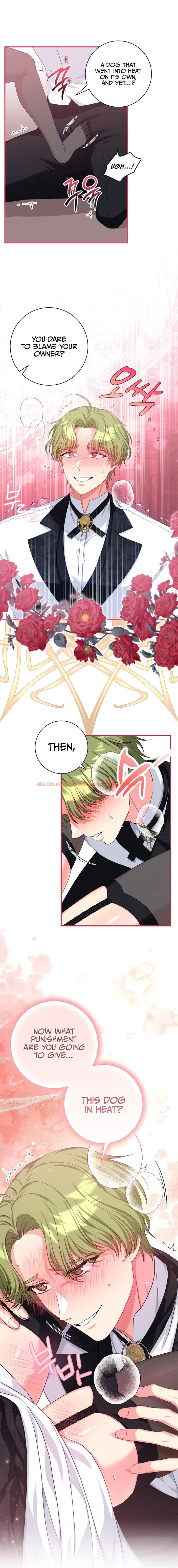 Read Hentai Image 7 f104a in comic Can I Be A Sex Slave, Not A Priest? - Chapter 1 - hentaitnt.net