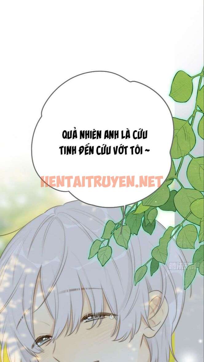 Xem ảnh Chỉ Có Đuôi Là Không Thể - Chap 13 - img_044_1673100053 - TruyenVN.APP