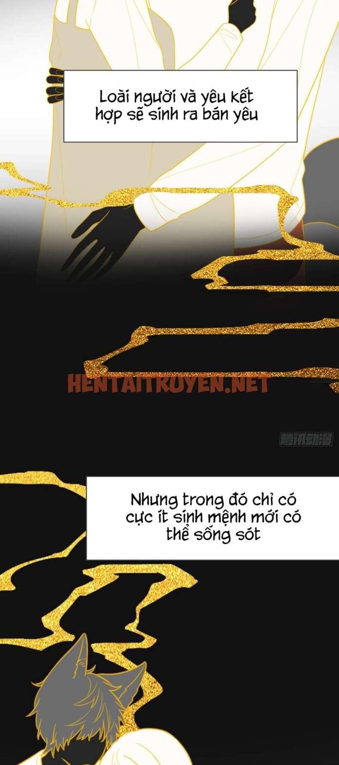 Xem ảnh Chỉ Có Đuôi Là Không Thể - Chap 28 - img_002_1675130833 - HentaiTruyenVN.net