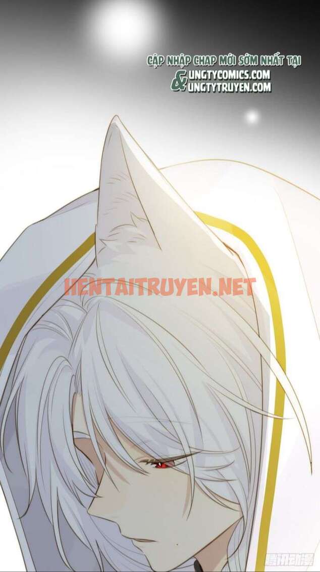 Xem ảnh Chỉ Có Đuôi Là Không Thể - Chap 8 - img_045_1673100457 - TruyenVN.APP