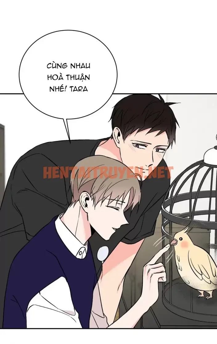 Xem ảnh Đảo Ngược Tình Thế - Chap 14 - img_065_1651742710 - TruyenVN.APP