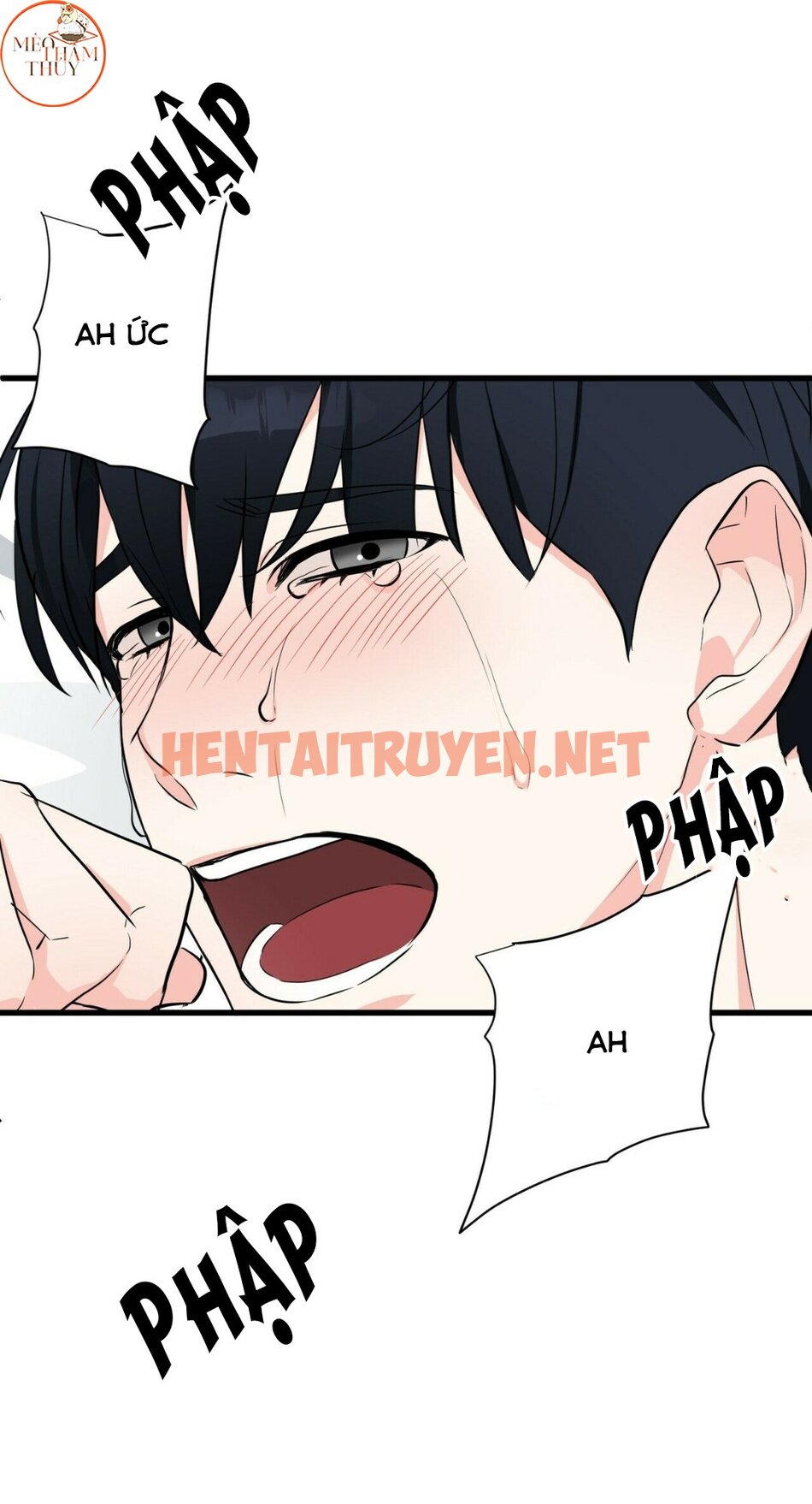 Xem ảnh Dấu Vết Vô Hình - Chap 9 - img_020_1640365829 - TruyenVN.APP