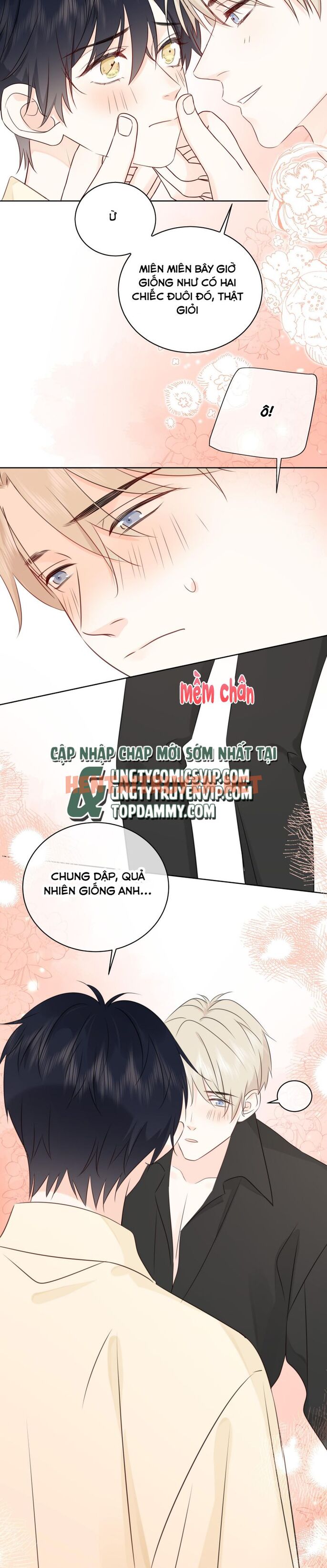 Xem ảnh Dinh Dưỡng Quá Tốt - Chap 50 - img_020_1678439582 - TruyenVN.APP