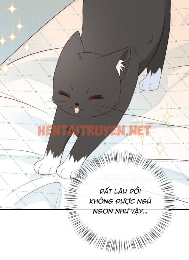 Xem ảnh Dinh Dưỡng Quá Tốt - Chap 8 - img_018_1646975036 - TruyenVN.APP