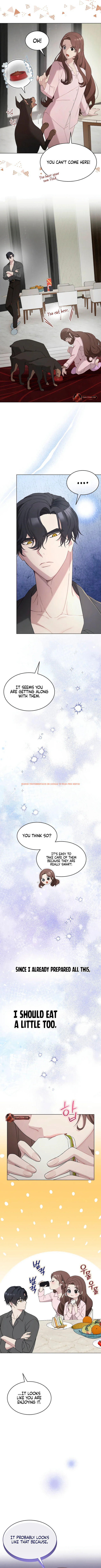 Read Hentai Image 9 34038 in comic Doberman - Chapter 10 - hentaitnt.net