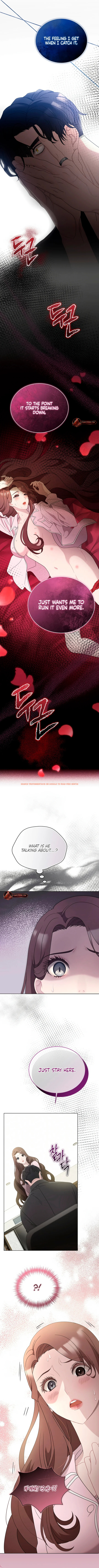 Read Hentai Image 11 125f8 in comic Doberman - Chapter 13 - hentaitnt.net