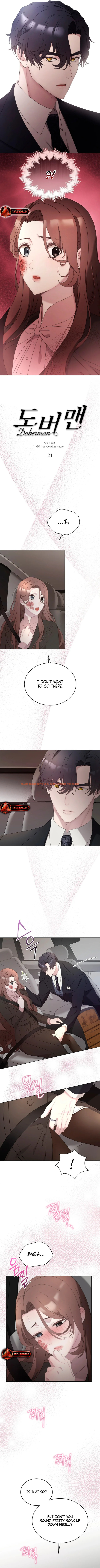 Read Hentai Image 2 c3257 in comic Doberman - Chapter 21 - hentaitnt.net