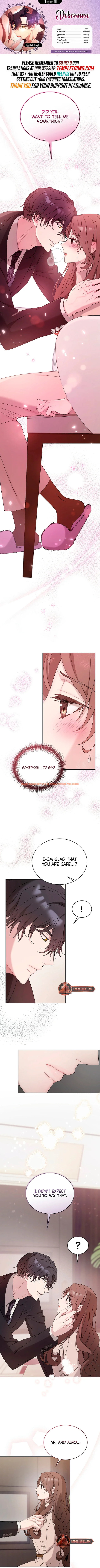 Read Hentai Image 1 1fa19 in comic Doberman - Chapter 40 - www.hentaitnt.net