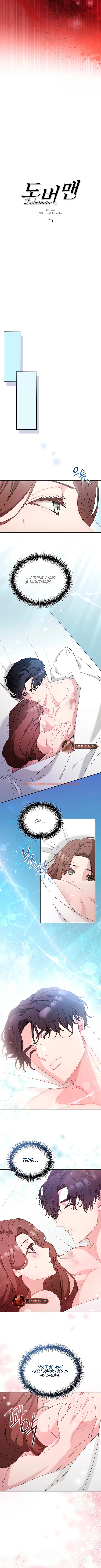 Read Hentai Image 5 17321 in comic Doberman - Chapter 45 - hentaitnt.net