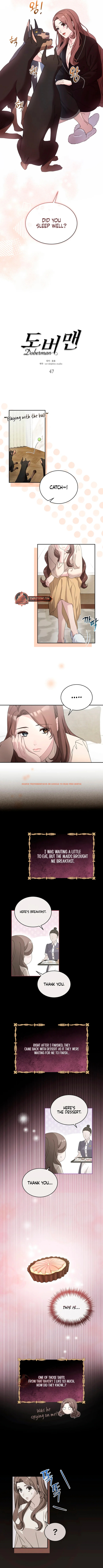 Read Hentai Image 3 17257 in comic Doberman - Chapter 47 - hentaitnt.net Read Hentai Image 3 17257 in comic Doberman - Chapter 47 - hentaitnt.net