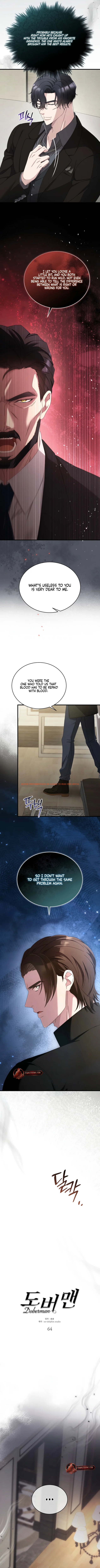 Read Hentai Image 2 18887 in comic Doberman - Chapter 64 - www.hentaitnt.net