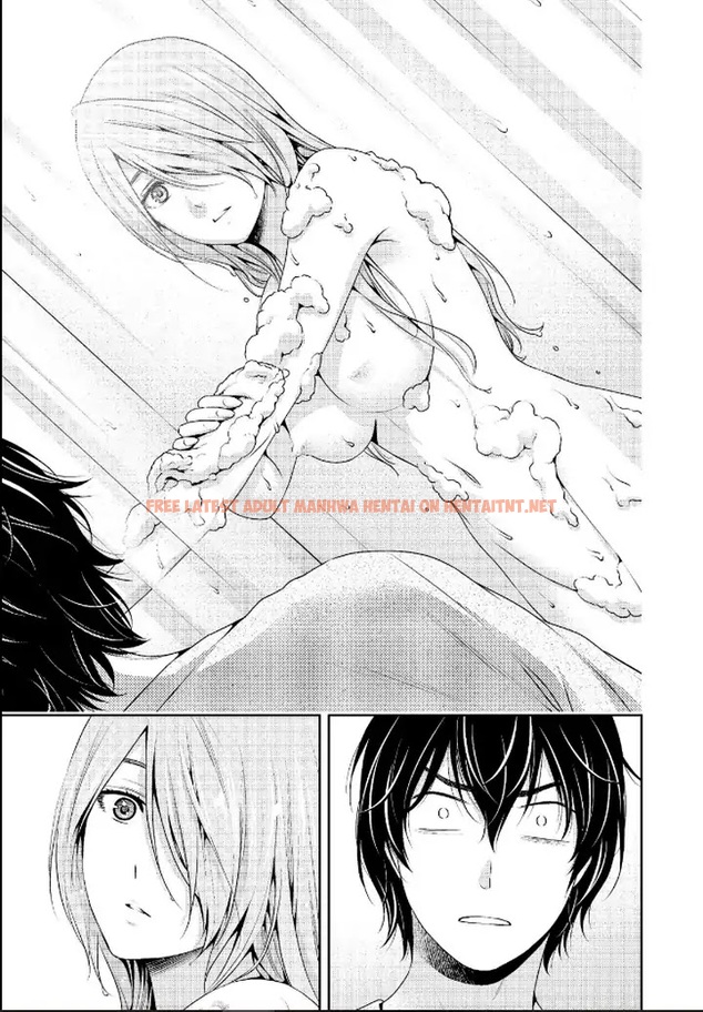 Read Hentai Image 11 943 in comic Domestic Na Kanojo - Chapter 219 - hentaitnt.net