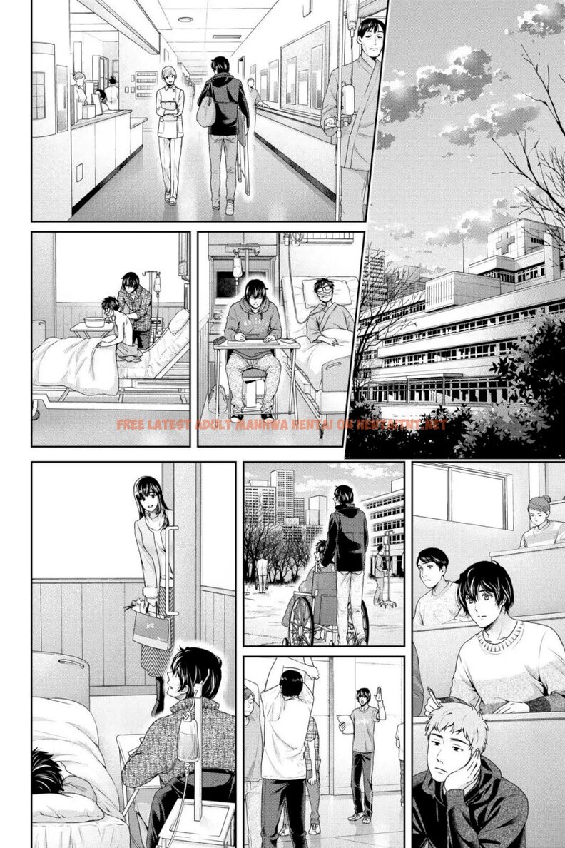 Read Hentai Image 10 969 in comic Domestic Na Kanojo - Chapter 254 - hentaitnt.net