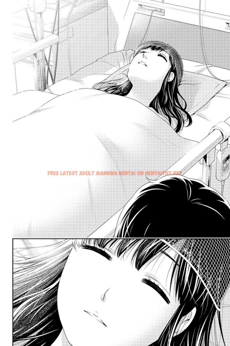 Read Hentai Image 17 980 in comic Domestic Na Kanojo - Chapter 271 - hentaitnt.net