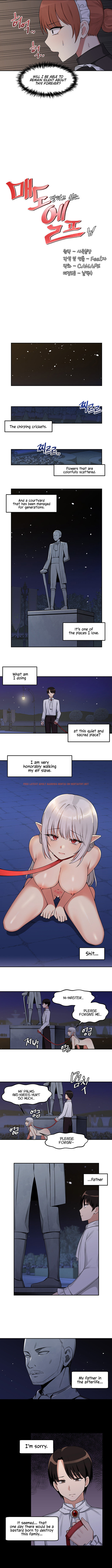 Read Hentai Image 3 370 in comic Elf Who Likes To Be Humiliated - Chapter 2 - hentaitnt.net