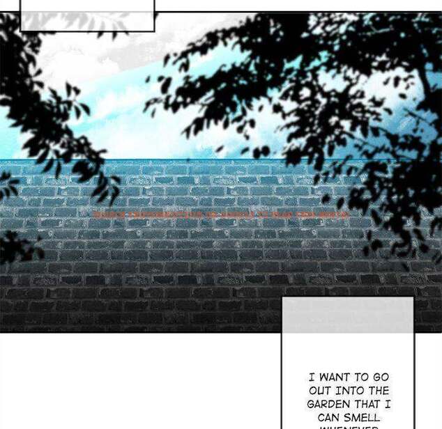 Read Hentai Image 75 497 in comic Epitaph - Chapter 21 - hentaitnt.net