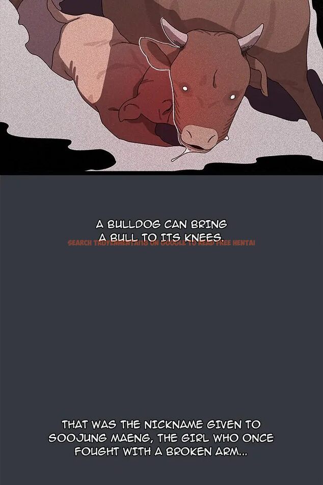 Read Hentai Image 3 ef96d in comic From Weakling To Nemesis - Chapter 7 - hentaitnt.net