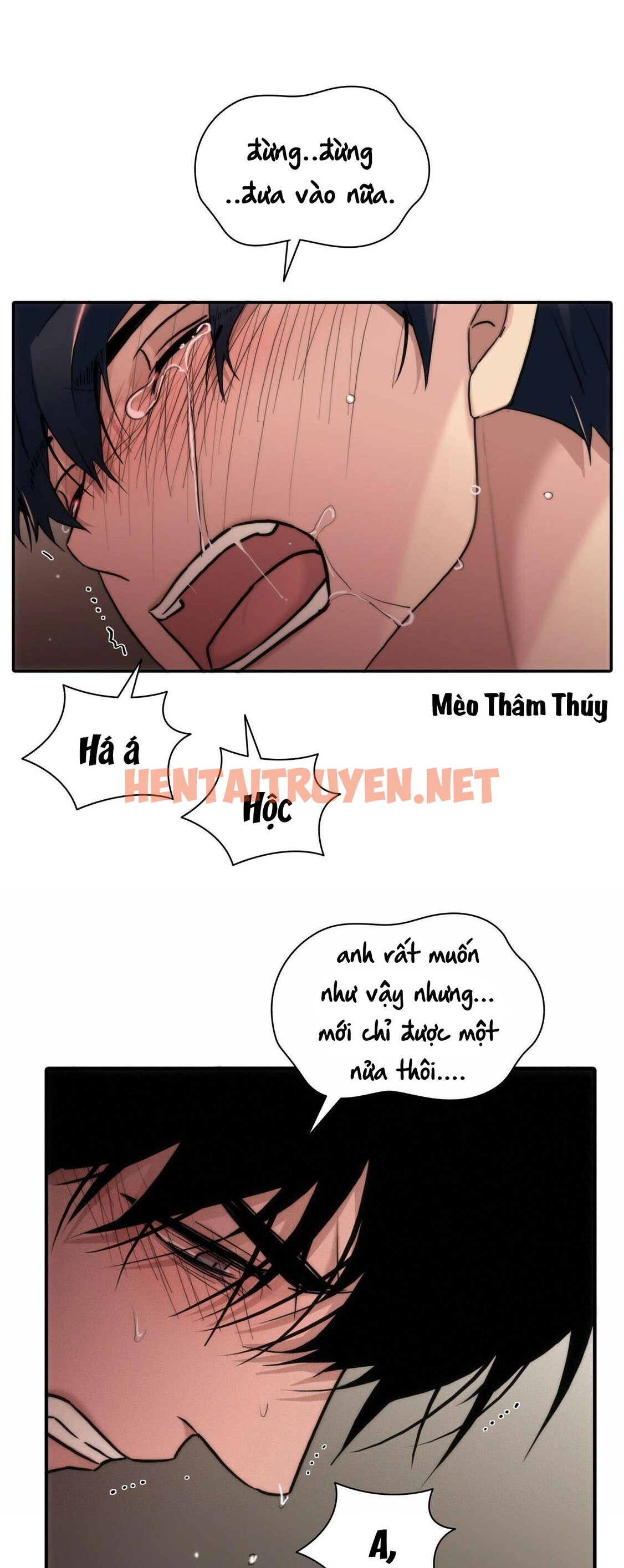 Xem ảnh Giai Điệu Của Ngôn Ngữ - Chap 53 - img_026_1651675062 - HentaiTruyen.net