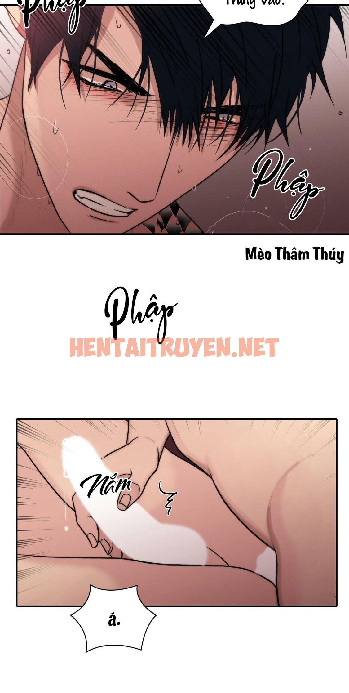 Xem ảnh Giai Điệu Của Ngôn Ngữ - Chap 53 - img_031_1651675074 - HentaiTruyen.net