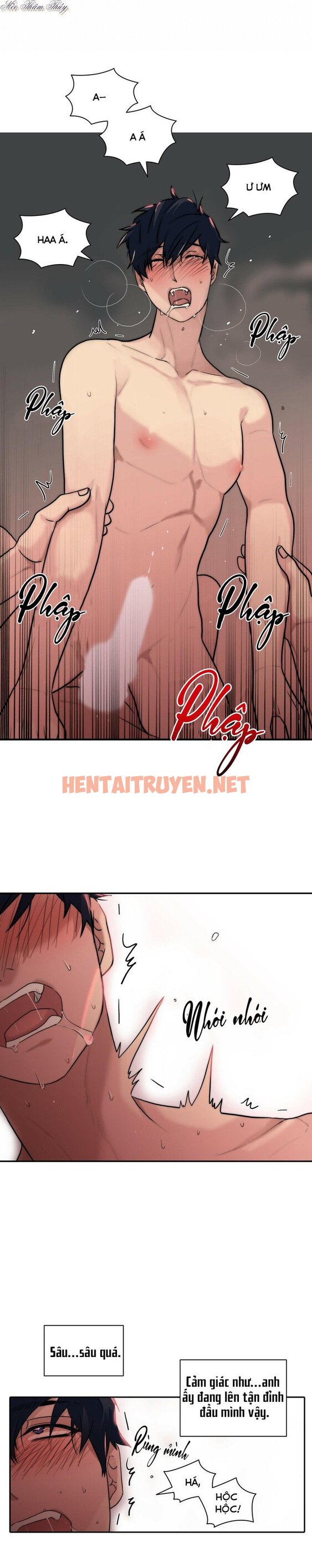 Xem ảnh Giai Điệu Của Ngôn Ngữ - Chap 59 - img_005_1660105436 - HentaiTruyen.net