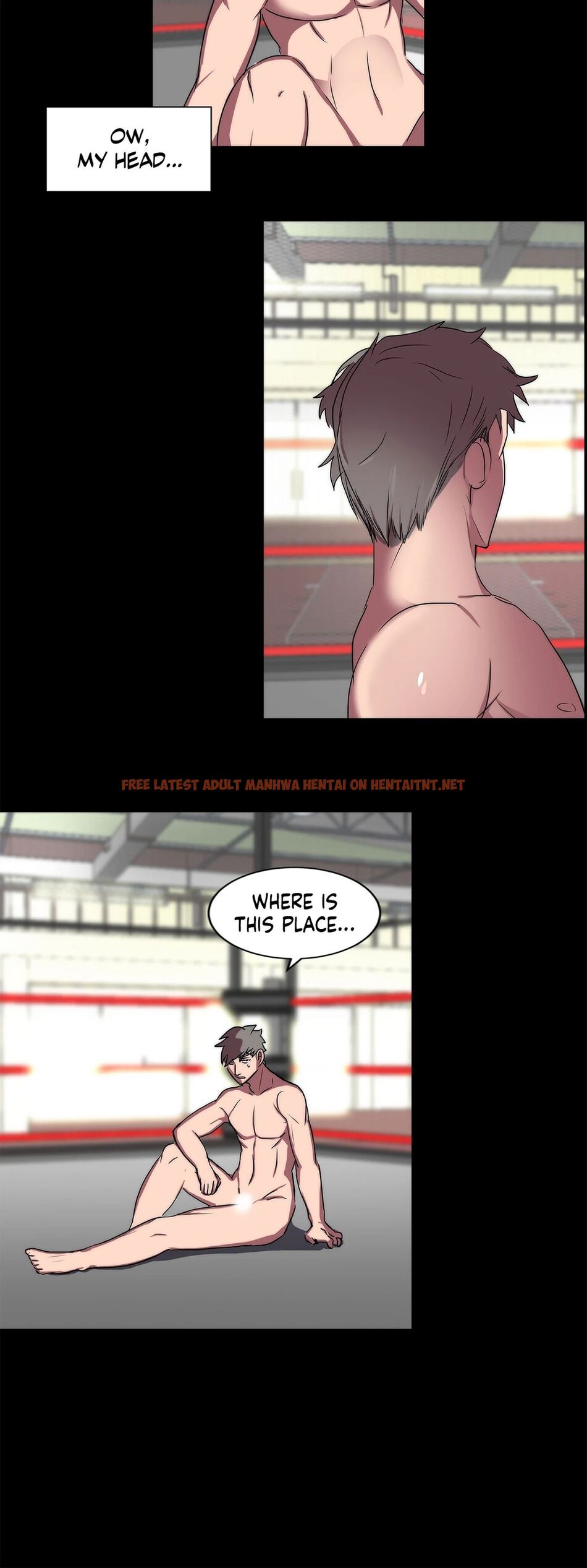 Read Hentai Image 2 28027 in comic Hottie In The Ring - Chapter 16 - hentaitnt.net