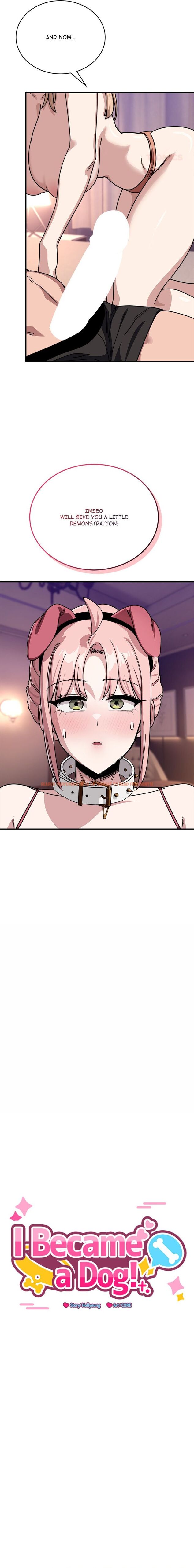 Read Hentai Image 8 23427 in comic I Became A Dog! - Chapter 29 - hentaitnt.net Read Hentai Image 8 23427 in comic I Became A Dog! - Chapter 29 - hentaitnt.net