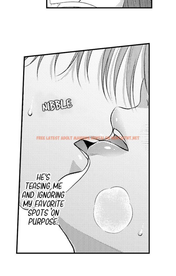 Read Hentai Image 31 87ac3 in comic I Just Can’t Quit My Ex - Chapter 30 - hentaitnt.net