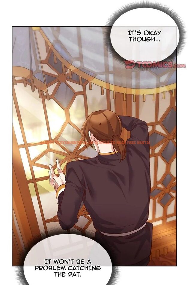 Read Hentai Image 54 cdd6e in comic I Will Protect The Lady - Chapter 10 - hentaitnt.net