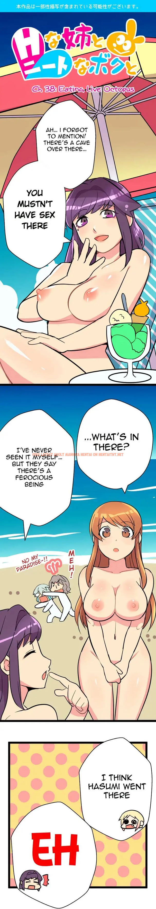 Read Hentai Image 1 527 in comic I’m A Neet And My Elder Sister Is Perverted - Chapter 38 - hentaitnt.net