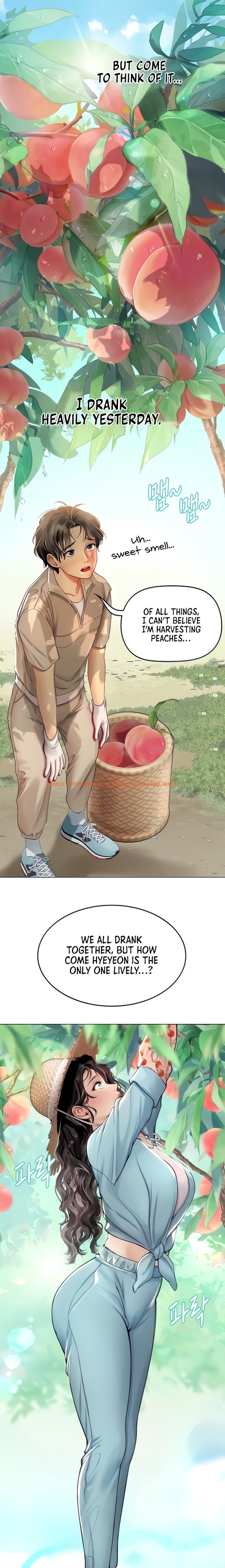 Read Hentai Image 7 687 in comic Intern Haenyeo - Chapter 28 - hentaitnt.net