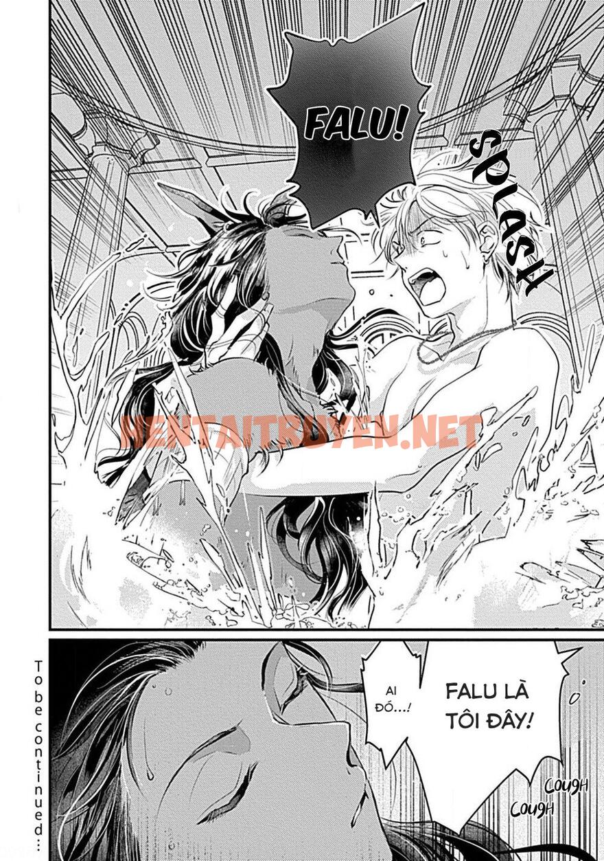 Xem ảnh Itoshi No Kemukujaraa - Chap 4 - img_039_1675938471 - TruyenVN.APP