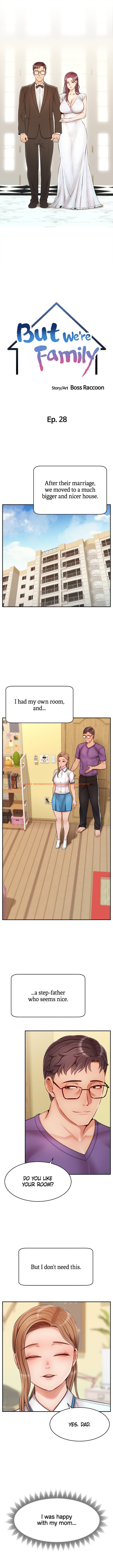 Read Hentai Image 2 474 in comic It’s Okay Because We’re Family - Chapter 28 - hentaitnt.net