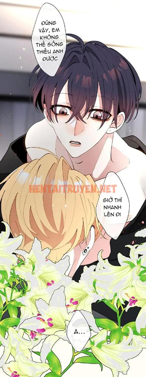 Xem ảnh Kẻ Theo Dõi Biến Thái Của Tôi - Chap 69 - img_012_1689870140 - TruyenVN.APP