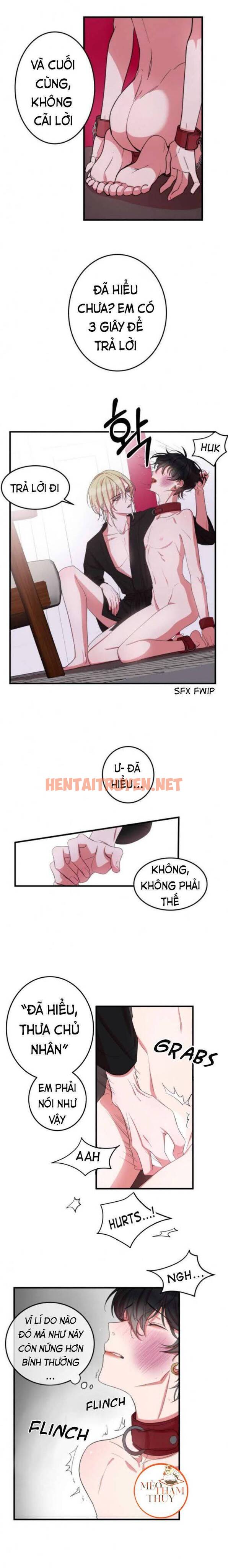 Xem ảnh Khẩu Vị Và Sự Tôn Thờ Của Người Yêu Tôi - Chap 4 - img_003_1694529468 - HentaiTruyen.net